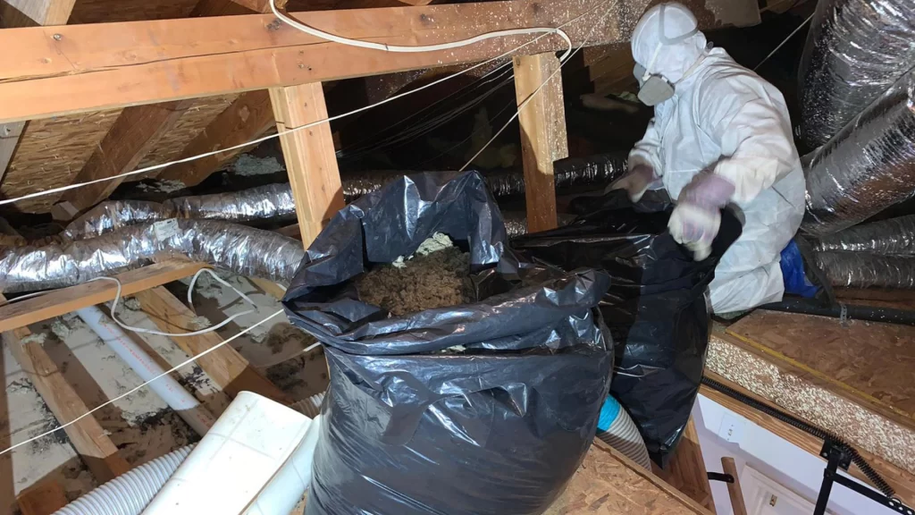 Attic insulation