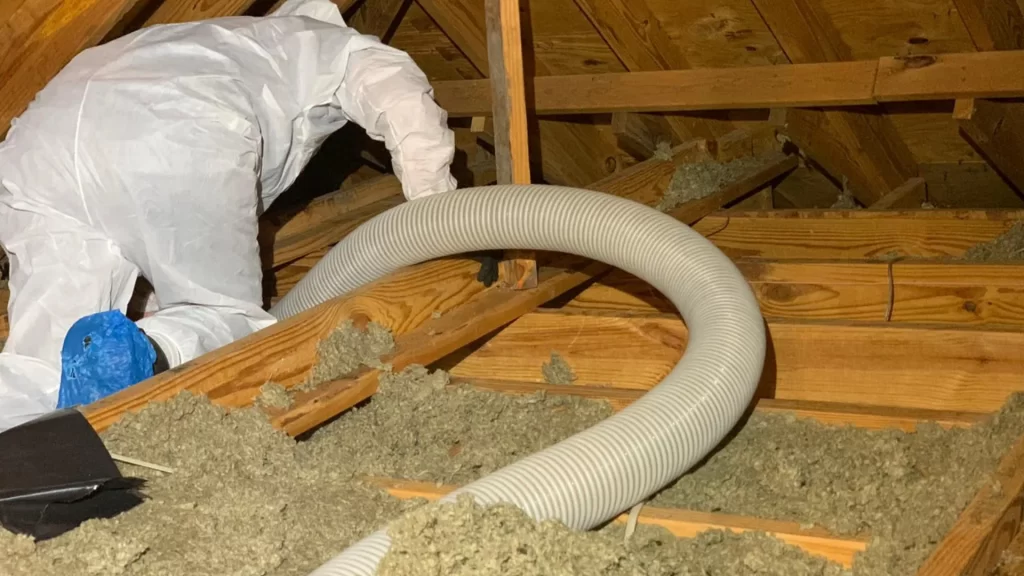 Attic insulation