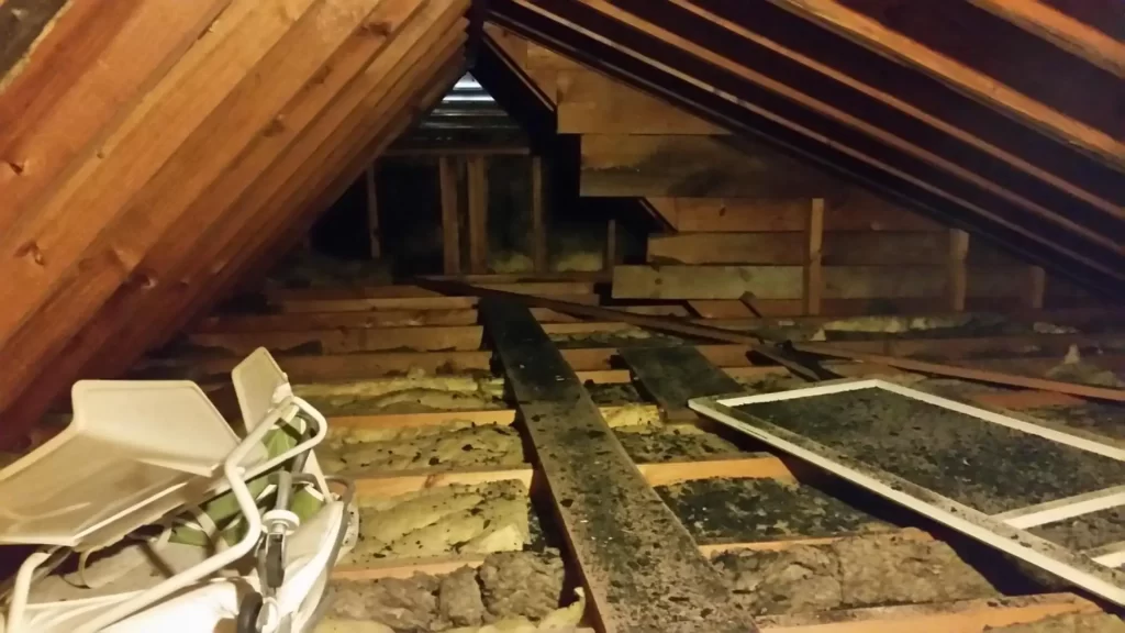 Attic insulation